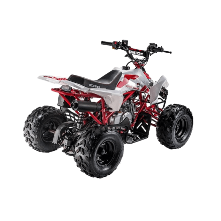 Квадроцикл ACCESS AMS 110 MiniSport, фото 3