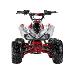 Квадроцикл ACCESS AMS 110 MiniSport, фото 2