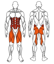 Степ+Твистер (зеленый) - Уличный тренажер - СТ 019-12