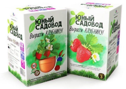 Юный садовод. Вырасти клубнику, фото 1