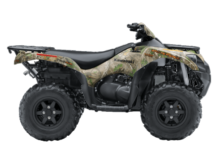 Квадроцикл BRUTE FORCE 750 4X4I EPS Camo (ПСМ), фото 2