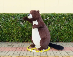 Топиари композиция Бобры - газон Eco, фото 4