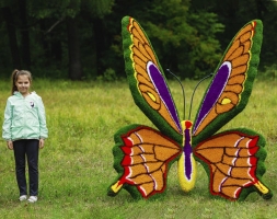 Топиари бабочка Королева III На земном шаре - газон Eco, фото 3