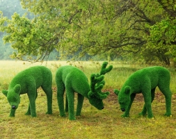 Топиари композиция Олени, олень и две самочки - газон Eco Green