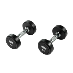BRONZE GYM BG-PA-DB-R025 Гантель обрезиненная 2,5 кг