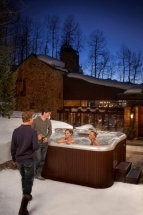 спа-бассейн Sundance Spas Aspen