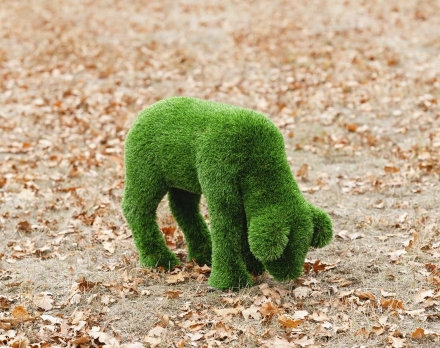 Топиари композиция Ягнята и Овечка - газон Deluxe, фото 5