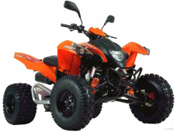 Квадроцикл ADLY ATV 500 S On Road, фото 2 Квадроцикл ADLY ATV 500 S On Road, фото 2