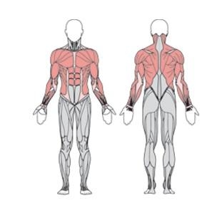 Балансир FLEX вертикальный УТЭ-033П , фото 4