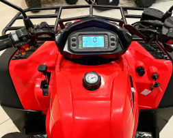 Квадроцикл BISON Explorer 320 4x4, фото 10 Квадроцикл BISON Explorer 320 4x4, фото 10