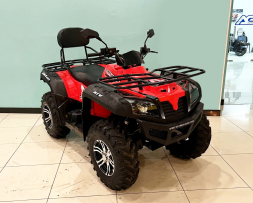 Квадроцикл BISON Explorer 320 4x4, фото 8 Квадроцикл BISON Explorer 320 4x4, фото 8