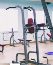 Турник+Пресс+Брусья AEROFIT IFPT