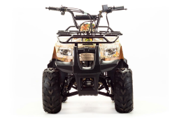 Квадроцикл MOTOLAND 110 Rider (2021 Г.), фото 8