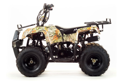 Квадроцикл MOTOLAND 110 Rider (2021 Г.), фото 2