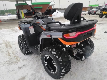 Квадроцикл MOTOLAND ATV 300 Max X, фото 8
