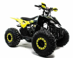 Квадроцикл MOTOLAND 125 Raptor, фото 7