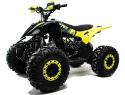 Квадроцикл MOTOLAND 125 Raptor, фото 1