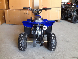 Квадроцикл RAPTOR 110, фото 4 Квадроцикл RAPTOR 110, фото 4