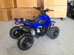 Квадроцикл RAPTOR 110, фото 3 Квадроцикл RAPTOR 110, фото 3