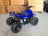 Квадроцикл RAPTOR 110