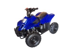 Квадроцикл RAPTOR 110, фото 1 Квадроцикл RAPTOR 110, фото 1