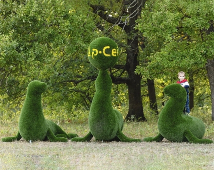 Топиари композиция Тюлени - газон Deluxe, фото 2