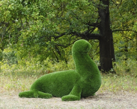 Топиари композиция Тюлени - газон Deluxe, фото 5