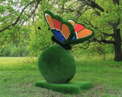 Топиари композиция бабочка на яблоке Синап - газон Eco Green, фото 1