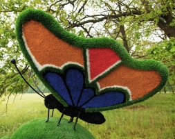 Топиари композиция бабочка на яблоке Синап - газон Eco Green, фото 5