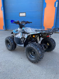 Квадроцикл RAPTOR New 125, фото 3 Квадроцикл RAPTOR New 125, фото 3