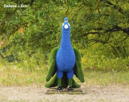 Топиари Павлин, основа композиций - газон Eco, фото 4