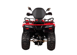 Квадроцикл BIZON YK200 Basic Carb, фото 5 Квадроцикл BIZON YK200 Basic Carb, фото 5