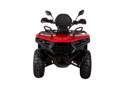 Квадроцикл BIZON YK200 Basic Carb, фото 4 Квадроцикл BIZON YK200 Basic Carb, фото 4