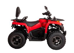 Квадроцикл BIZON YK200 Basic Carb, фото 3 Квадроцикл BIZON YK200 Basic Carb, фото 3