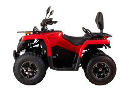 Квадроцикл BIZON YK200 Basic Carb, фото 2 Квадроцикл BIZON YK200 Basic Carb, фото 2