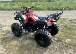 Квадроцикл RAPTOR Madman 200 All, фото 7 Квадроцикл RAPTOR Madman 200 All, фото 7