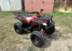 Квадроцикл RAPTOR Madman 200 All, фото 4 Квадроцикл RAPTOR Madman 200 All, фото 4