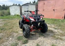 Квадроцикл RAPTOR Madman 200 All, фото 3 Квадроцикл RAPTOR Madman 200 All, фото 3