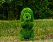 Топиари Белочка с кольцом под кашпо газон Premium