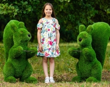 Топиари Белочка с кольцом под кашпо газон Deluxe