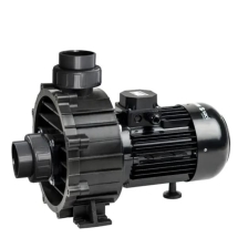 Насос без префильтра Saci Pumps Bravus 300