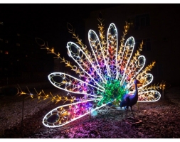 Световая фигура Павлин №3 005, фото 1