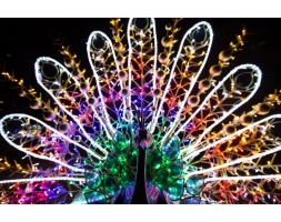 Световая фигура Павлин №3 005, фото 5