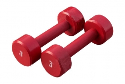  Гантель «ProfiGym» неразборная с полимерным покрытием, 3 кг  ГНП-3