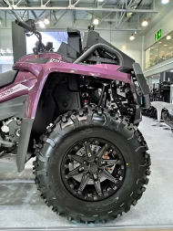 Квадроцикл АОДЕС Pathcross MAX 1000 LTD (2025), фото 5