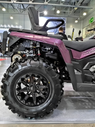 Квадроцикл АОДЕС Pathcross MAX 1000 LTD (2025), фото 4