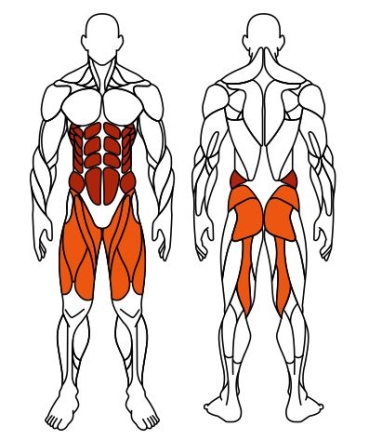 Жим ногами+Твистер (серый) - Уличный тренажер - СТ 022-13, фото 6