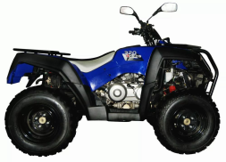 Квадроцикл ADLY Standart ATV320U 4WD, фото 3 Квадроцикл ADLY Standart ATV320U 4WD, фото 3