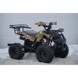 Квадроцикл MOTOLAND 125 Fox A, фото 13