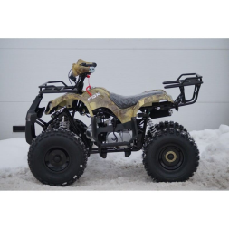 Квадроцикл MOTOLAND 125 Fox A, фото 9